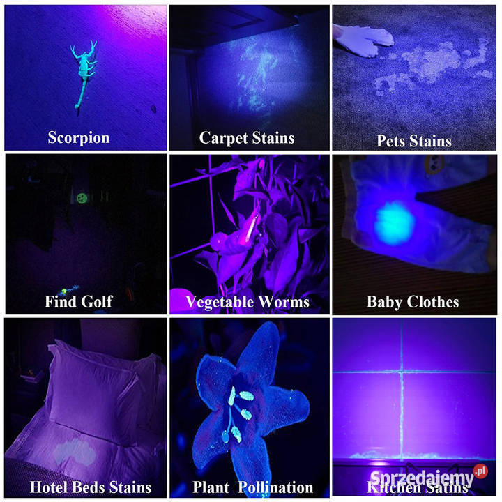 Latarka SV64 365nm UV ultrafioletowa detektor Wrocław