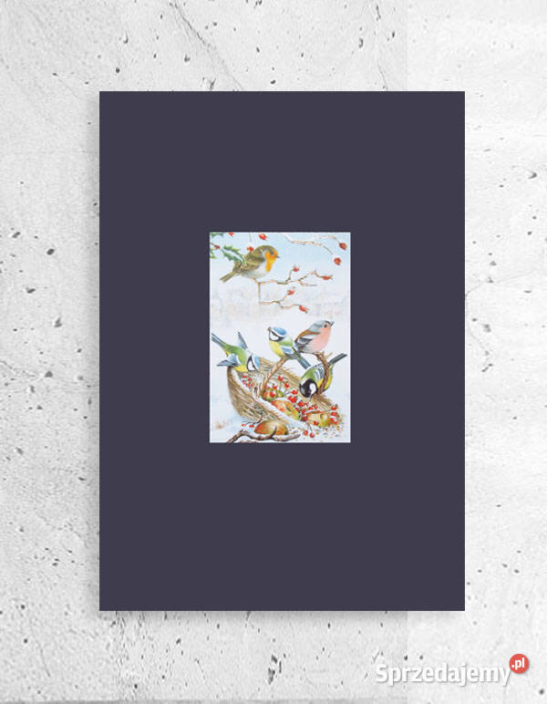 mały plakat z ptaszkami ptaszki obrazek A4 Olsztyn