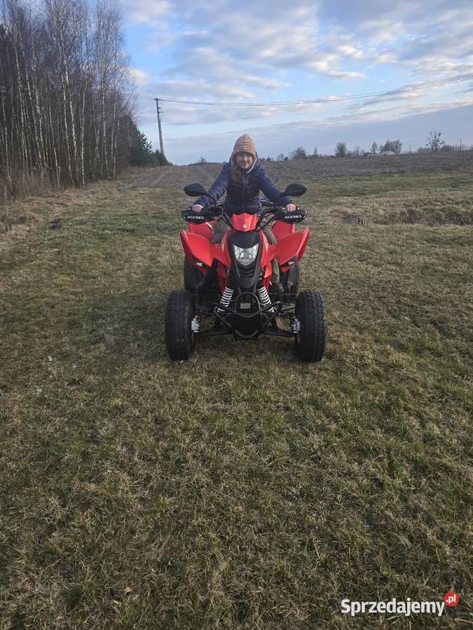 Sprzedam Qłada CPI 250 orginalny przebieg 5300 mazowieckie