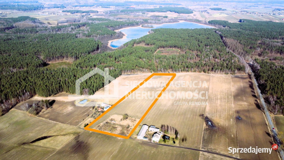 Grunt Lipinki Królewskie 24300m2 pomorskie