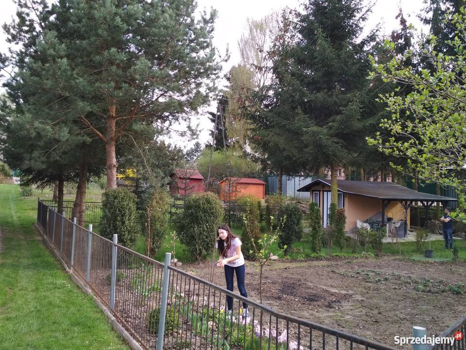 Działka pracownicza ogródek działkowy Lublin