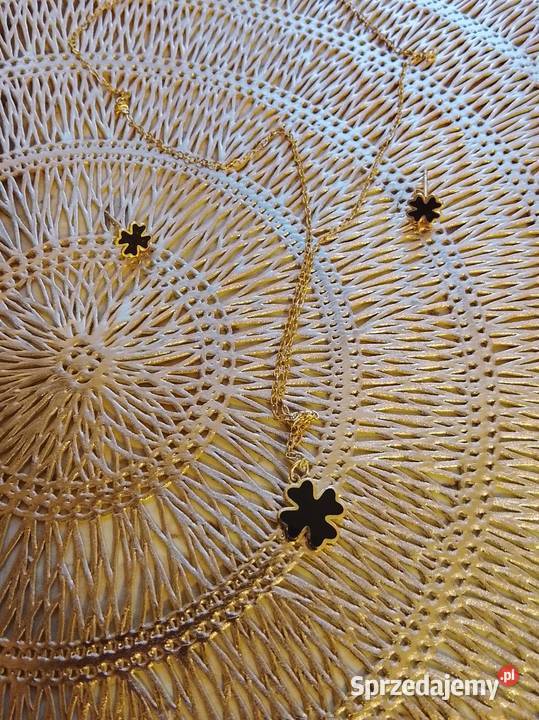 Łańcuszek i kolczyki Biżuteria