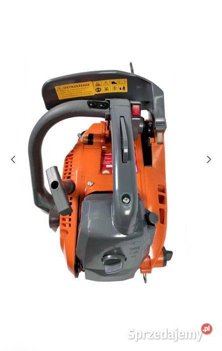 Pilarka gałęziówka