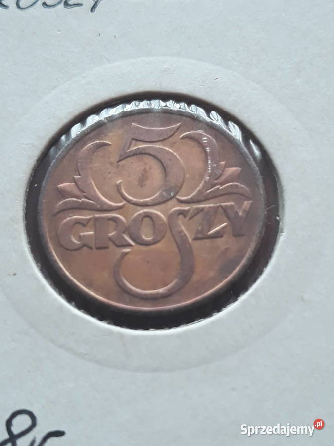 5 Groszy 1938 r Śliczne J Kolekcje wielkopolskie Konin sprzedam