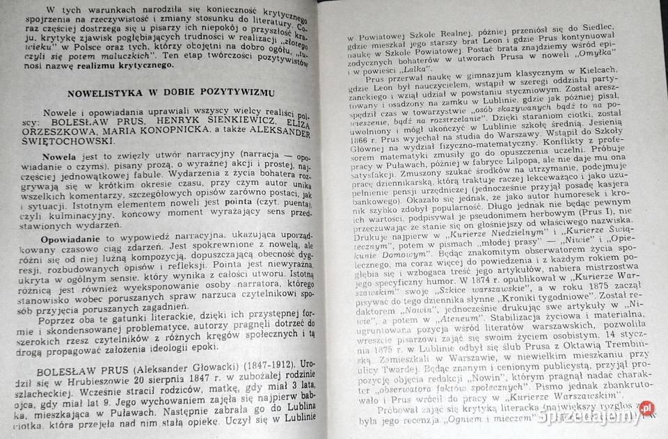 Pozytywizm Młoda Polska Ściągi Aniela Bonarek Chełm