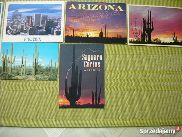 Pocztówki USA Arizona Phoenix kaktusy Myszków