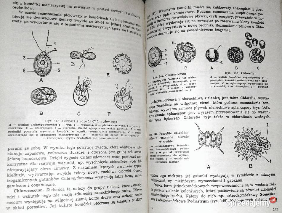 Botanika studentów zaocznych akademii rolniczych