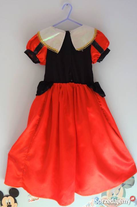 Alicja w krainie czarów kostium 5 6 lat 10 116 Bydgoszcz