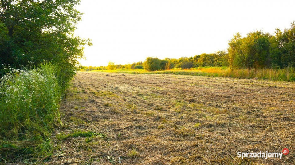 Działka w Nadbrzeżu