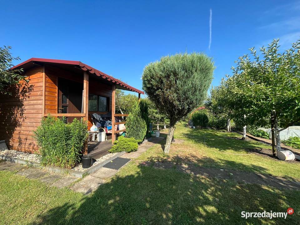 DZIAŁKA ROD STOKROTKASprzedam siatka opolskie