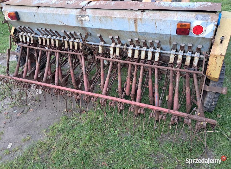 Siewnik poznaniak małopolskie Koszyce Małe