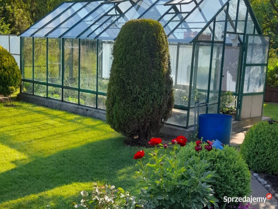 Zadbana działka rekreacyjna ROD Słoneczne pomorskie Gdańsk