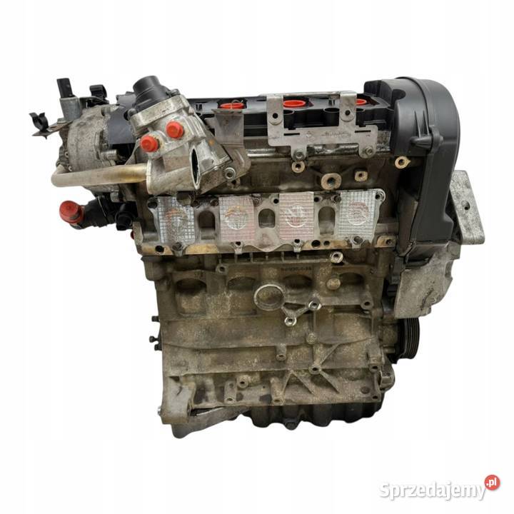 SILNIK AXW VW Golf V Touran Audi A3 II 8P 20 FSI Chełm