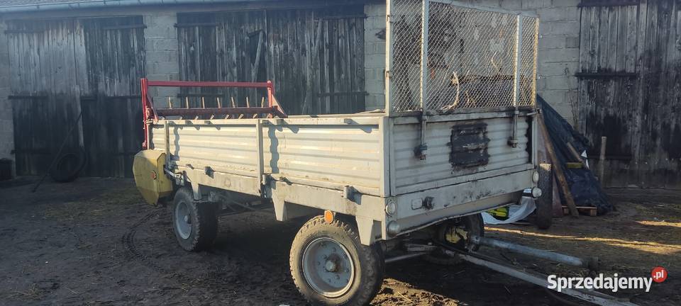 Rozrzutnik Stare Miasto