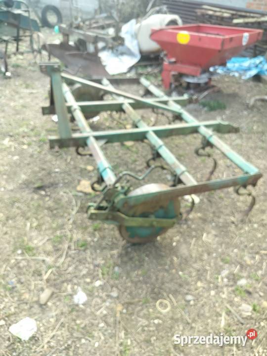 Kurtywator Grudziadz zebow 14 Miłochniewice