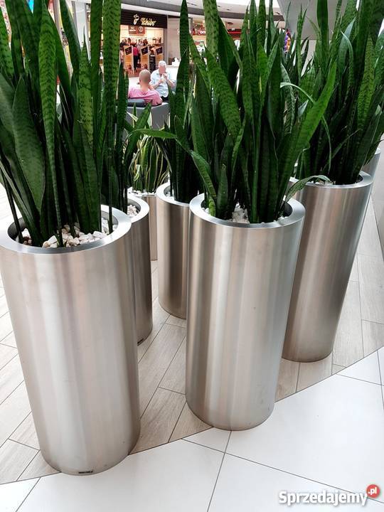 Producent Dużych Donic ze Stali Nierdzewnej małopolskie Kraków