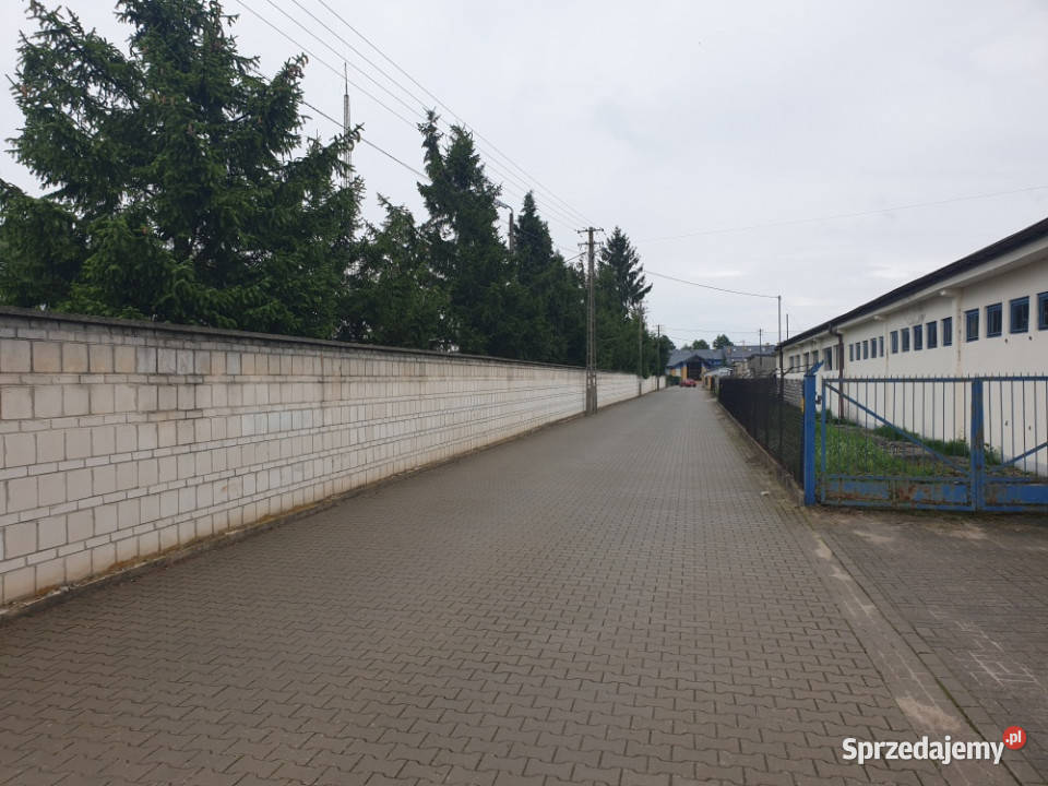 Syndyk sprzeda udział 194828 części w prawie 10zł/m2 Nieruchomości sprzedam