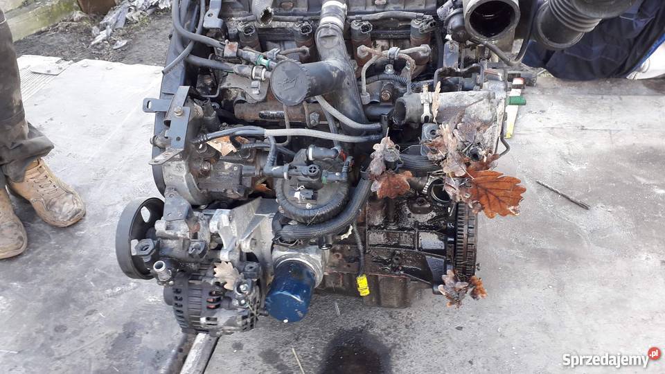 Sprzedam części Citroen Jumpy 20HDI 2005r Opole