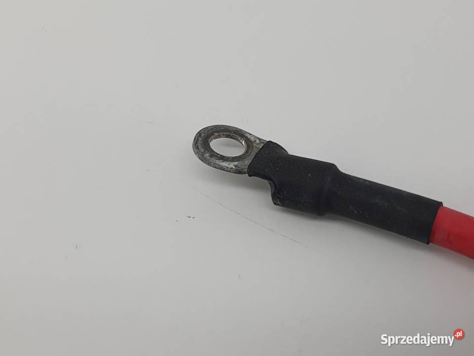 PRZEWOD PLUSOWY PEUGEOT EVIVACITY łódzkie Janowice