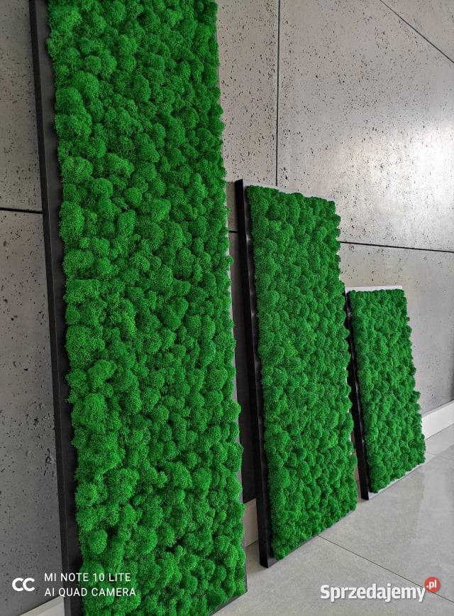 Obraz Mech Chrobotek Rama Czarna 120x40