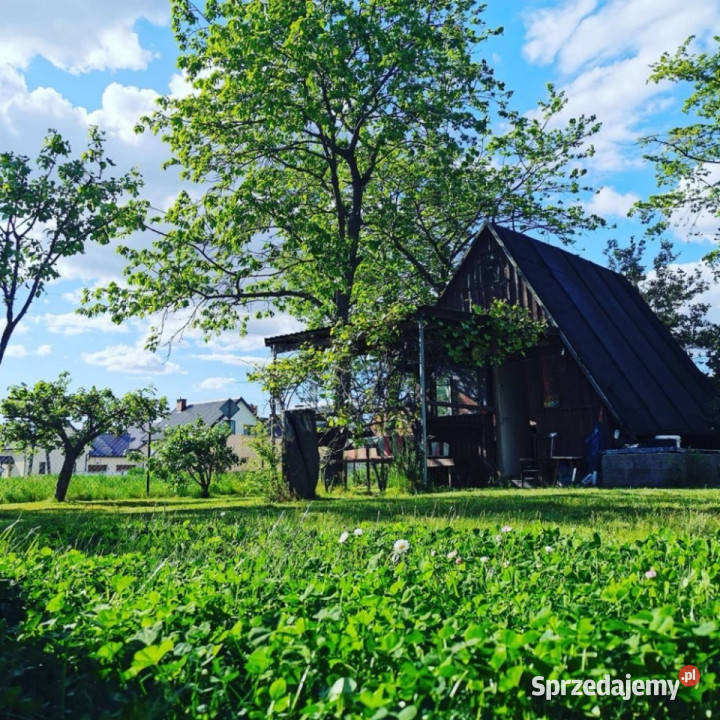 Sprzedam Działkę ROD Stróżewko rekreacyjna