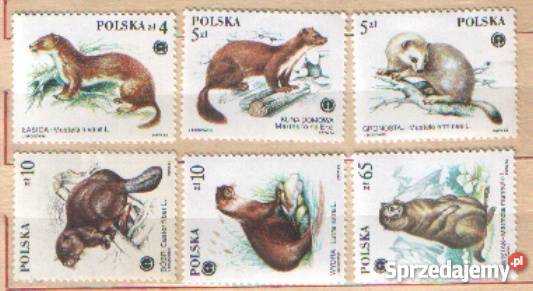 Zn Fi 2798 803 1984 Gliwice