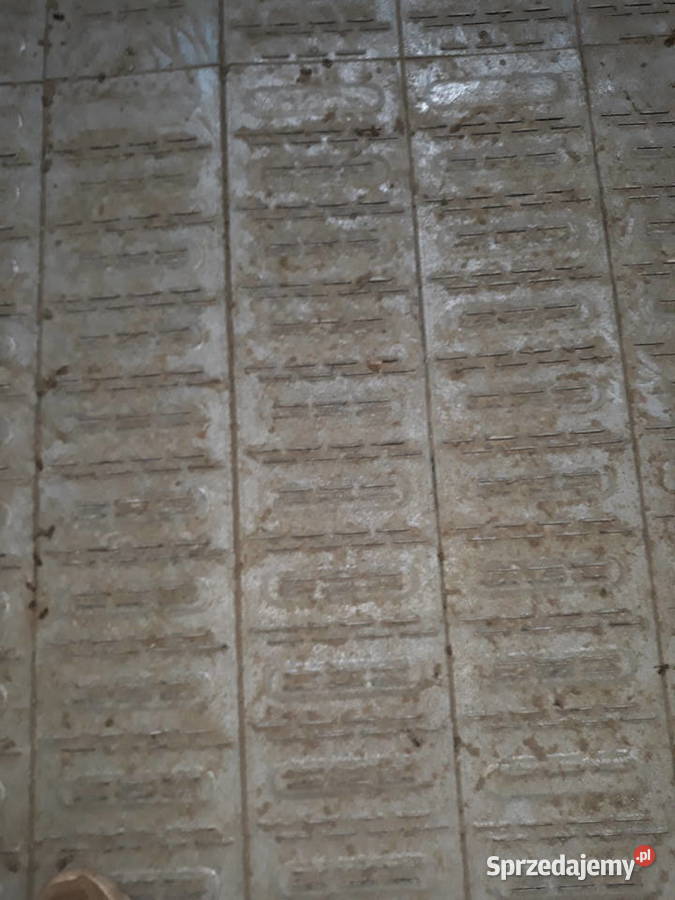 Bin Silos zbożowy 100 ton Płock