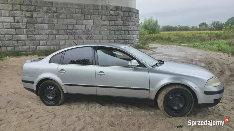 Passat B5 Świecie