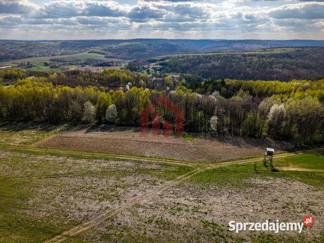 Działka 4836m2 Hadle Kańczuckie Sprzedaż podkarpackie