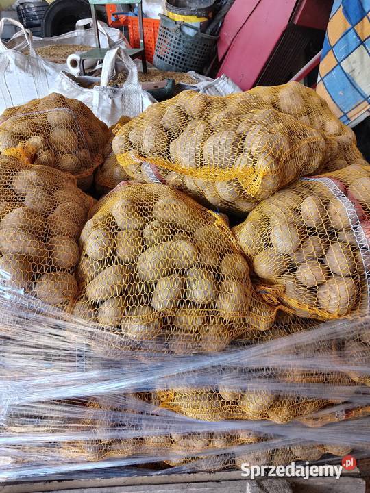 Ziemniaki jadalne jurek Jędrzejów Stary sprzedam