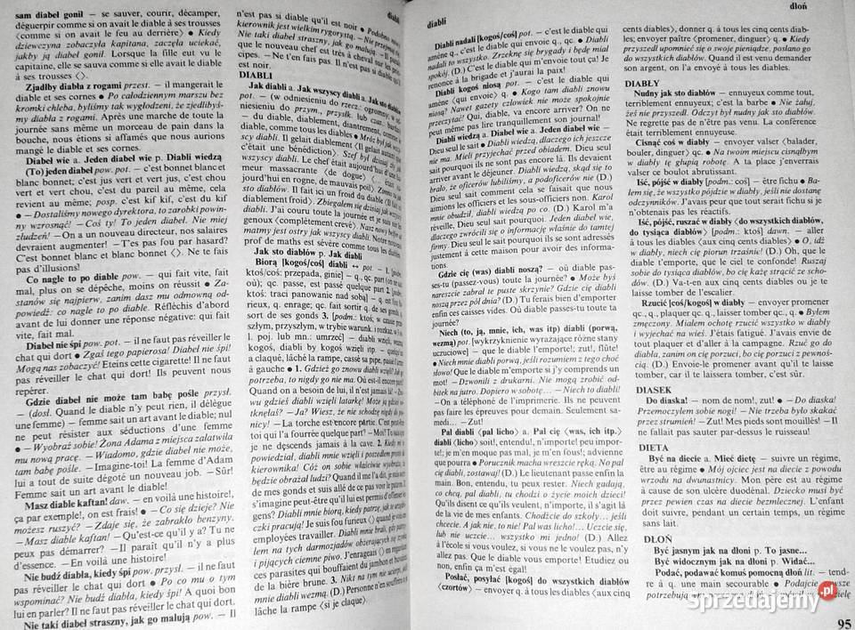 Polskofrancuski słownik frazeologiczny Leon Chełm sprzedam