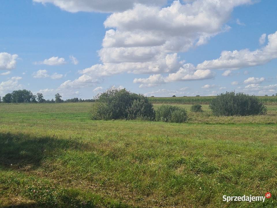 Działka na szlaku 117zł/m2 Radzieje sprzedam