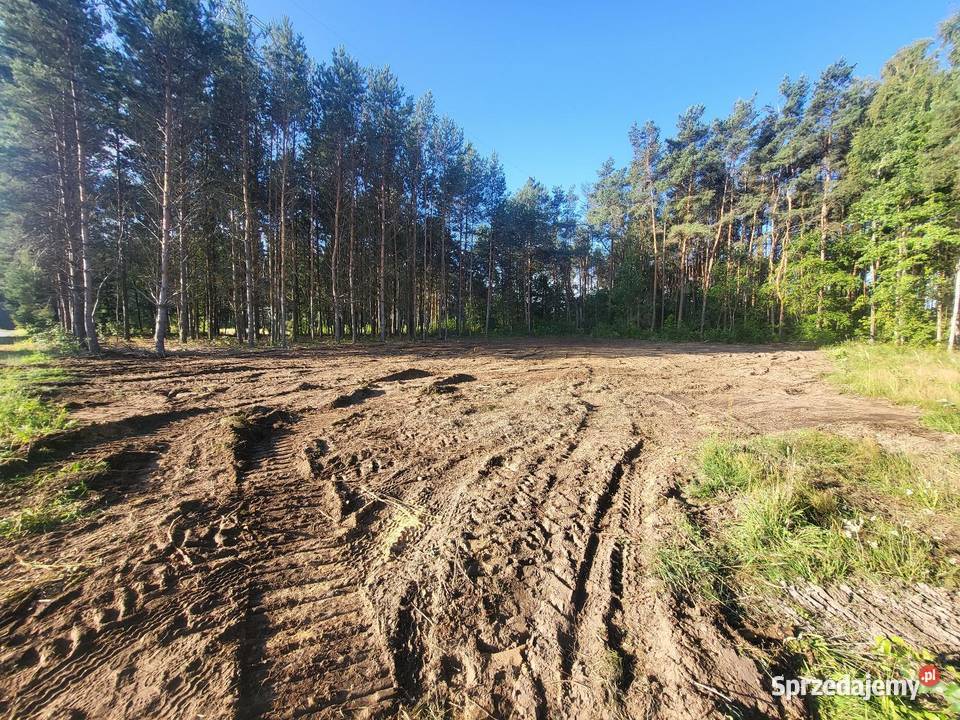 Czyszczenie działek koparką Wycinka Karpy Wywóz Łódź