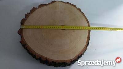 Duży Plastry drewna brzoza 33 gr8 na stolik śląskie Rybnik