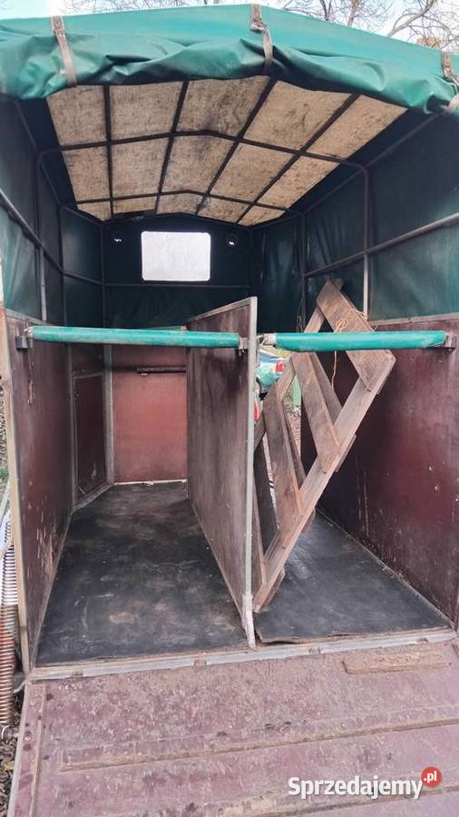 Przyczepa do przewozu koni niemiecka Oława