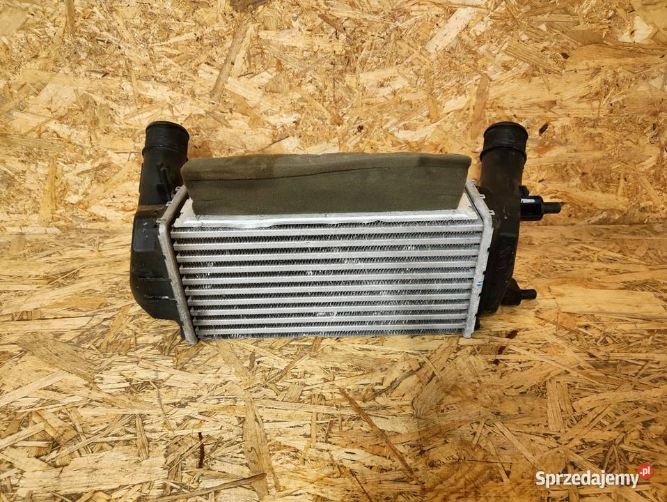 Chłodnica Powietrza Intercooler Ford EcoSport II Pleszew