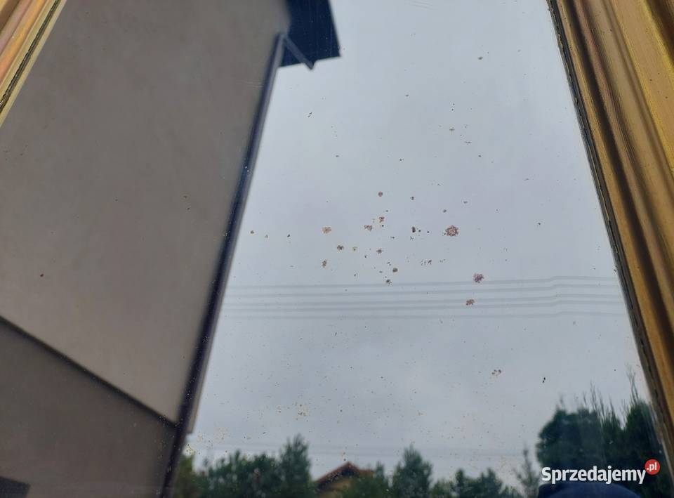 14 Stare lustro fazowana tafla z początku XXw pomorskie Tczew sprzedam