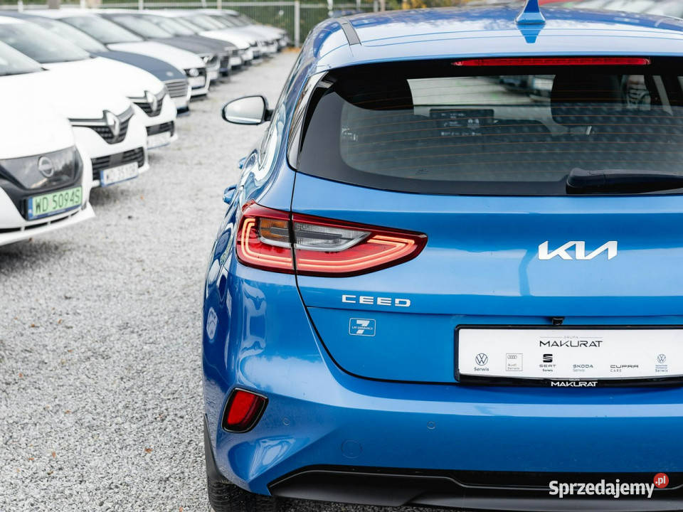 Kia Ceed WB1624Y15 TGDI M DCT 2 stref klima Kcof 4/5 Gdańsk sprzedam