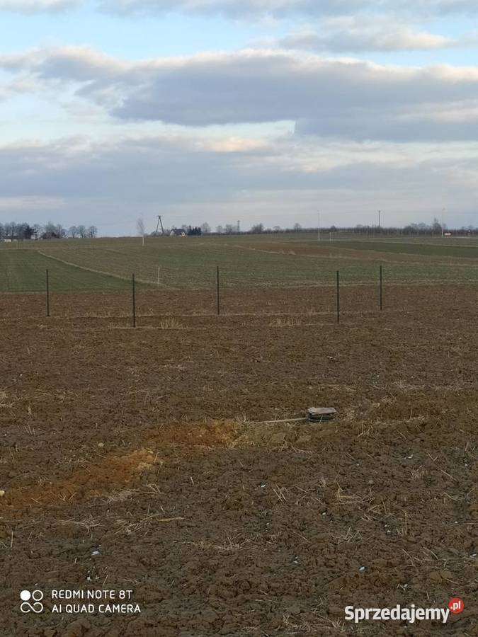 Działka budowlana Niemce Orzechowa 203626