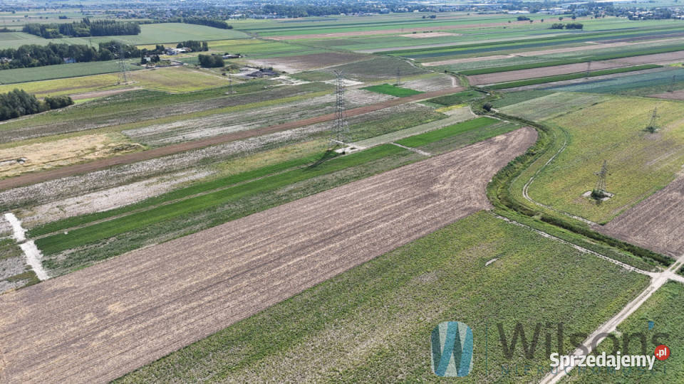 sprzedaży działki 23729m2 Pogroszew Nowowiejska