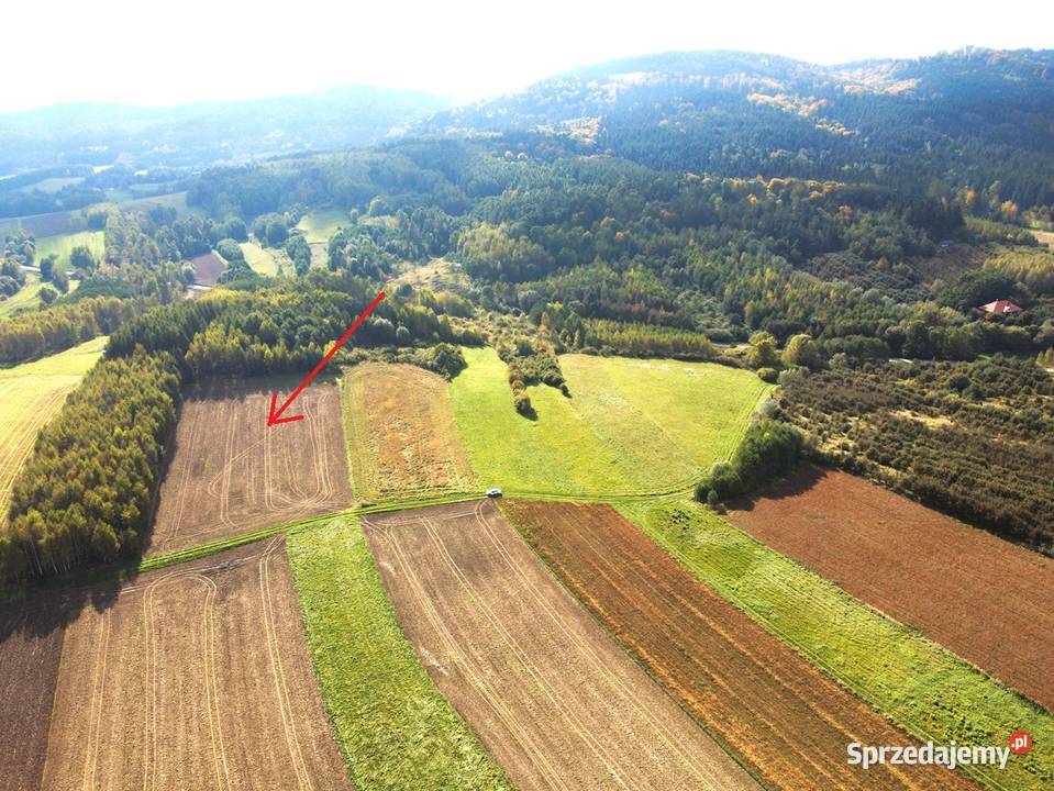 Dziaka rolna 110 ar Oparówka