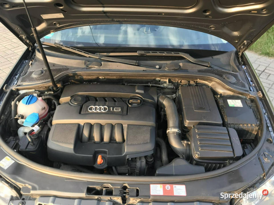 Audi A3 3drzwiowe Audi A3 16 MPI 102 z Niemiec kurtyny powietrzne Lesznowola sprzedam