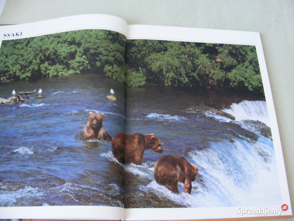 Gady i płazy Album Puchalski Ssaki Leksykon przyroda, krajobrazy Oborniki Śląskie