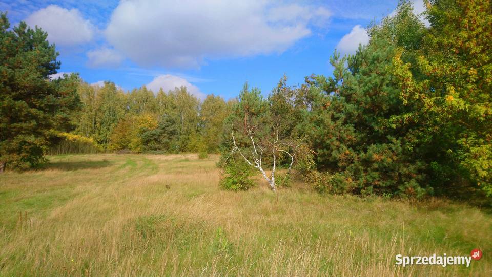 Sprzedam działkę budowlaną o pow 1055m2 z 32m Popielżyn-Zawady sprzedam