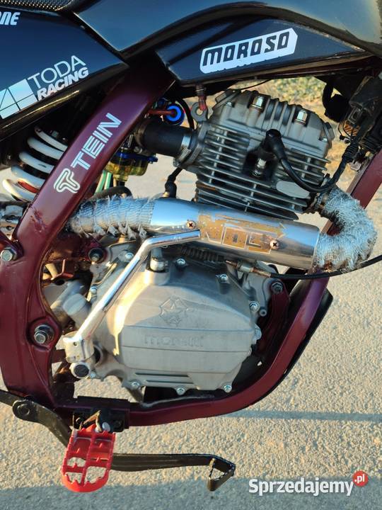 Diabolini 250 Wierciszów