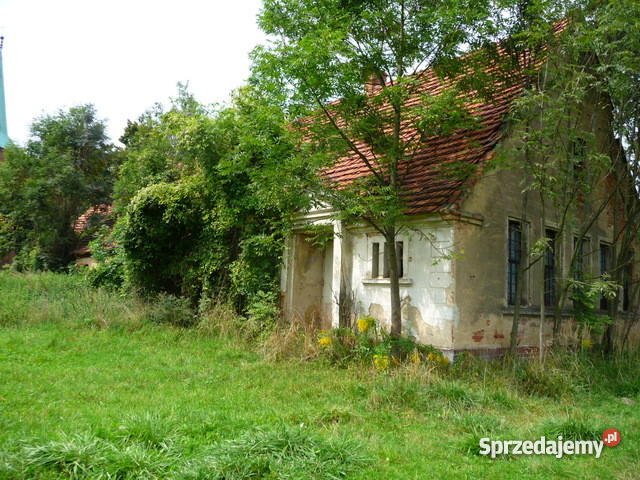 Gospodarstwo rolne zabudowania pole 598 h