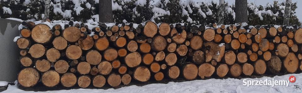 Drewno Radgoszcz sprzedam