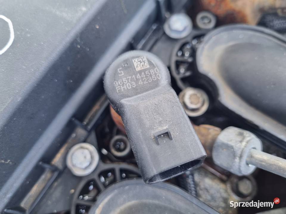 SILNIK KOMPLET Ford S S 20 TDCI 140 QXWA QXWB lubelskie Rudka