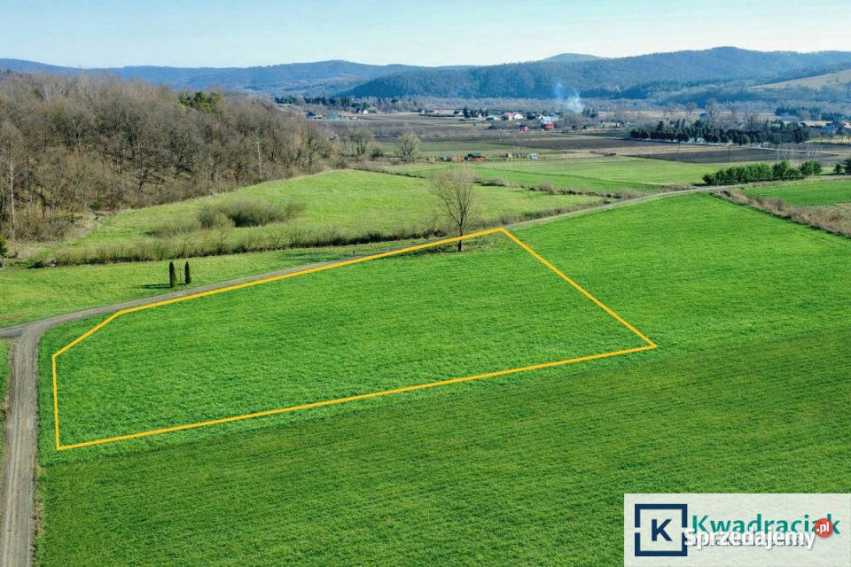 Grunt Mrzygłód 4400m2 100m