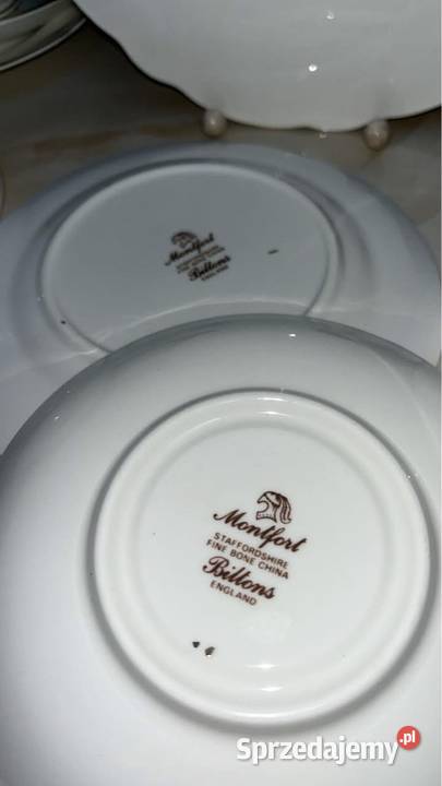 Mlecznik Montfort Staffordshire Biltons England pomorskie